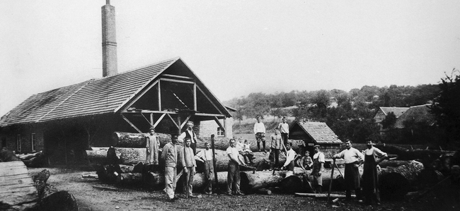 Sägewerk Franz Diehl mit Belegschaft 1909