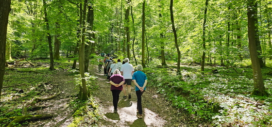 Wanderung zum Staufen Muttertag Gagern 12.05.2024 1a